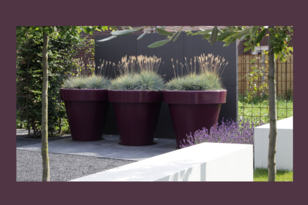 tuinarchitect-rotterdam